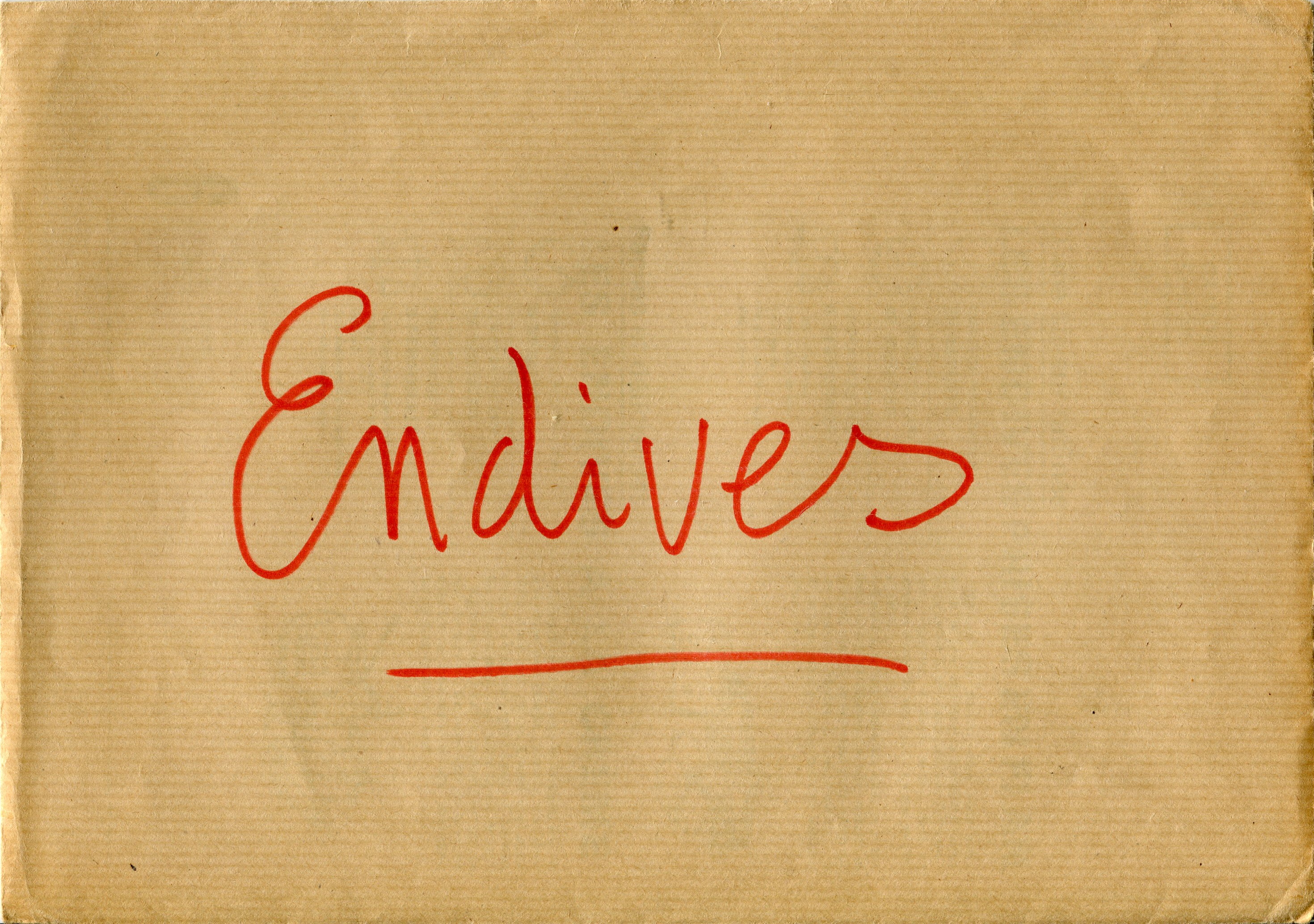 Manuscrit de Document: Enveloppe De Moumy Endives