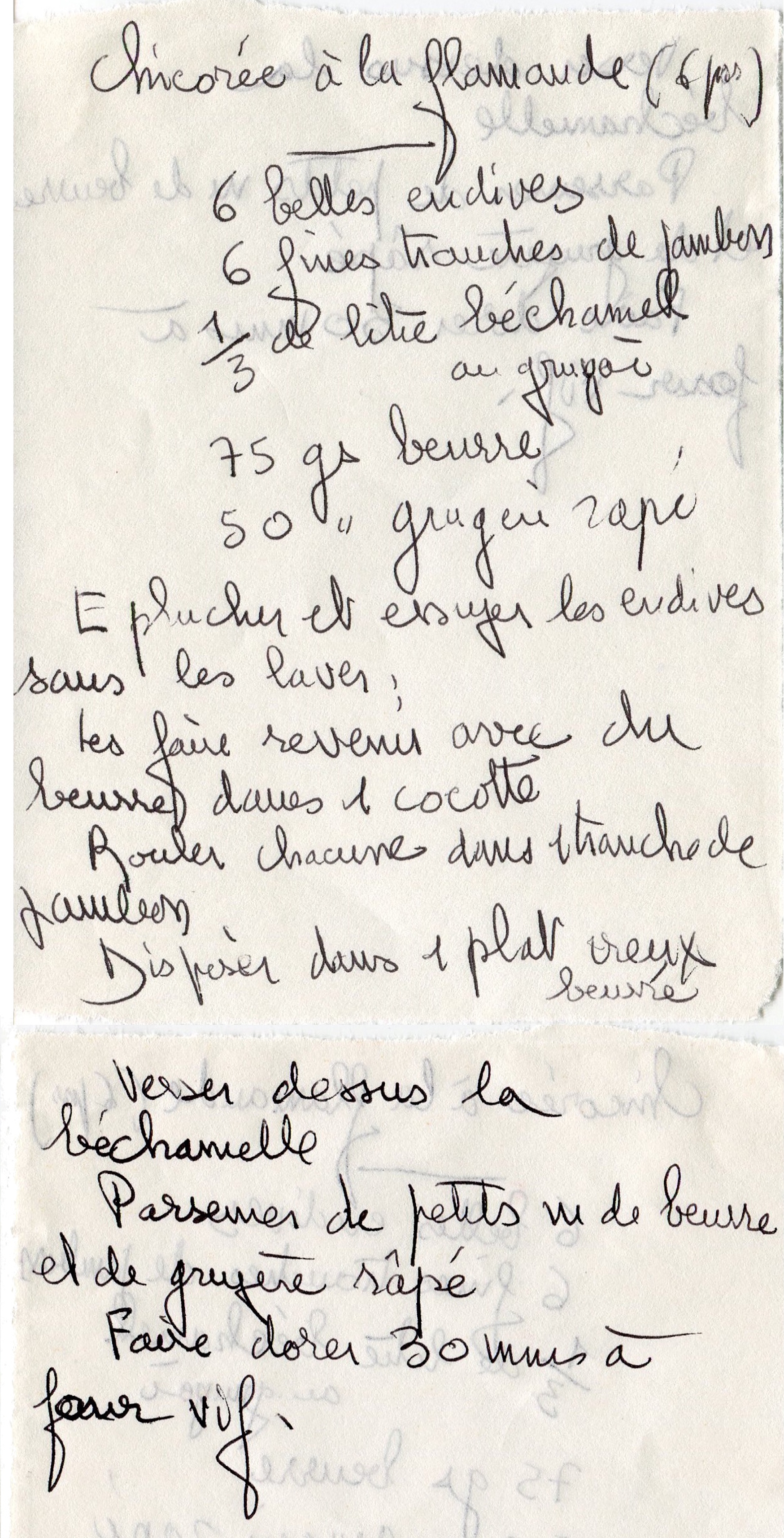 Manuscrit de Chicorée à la flamande