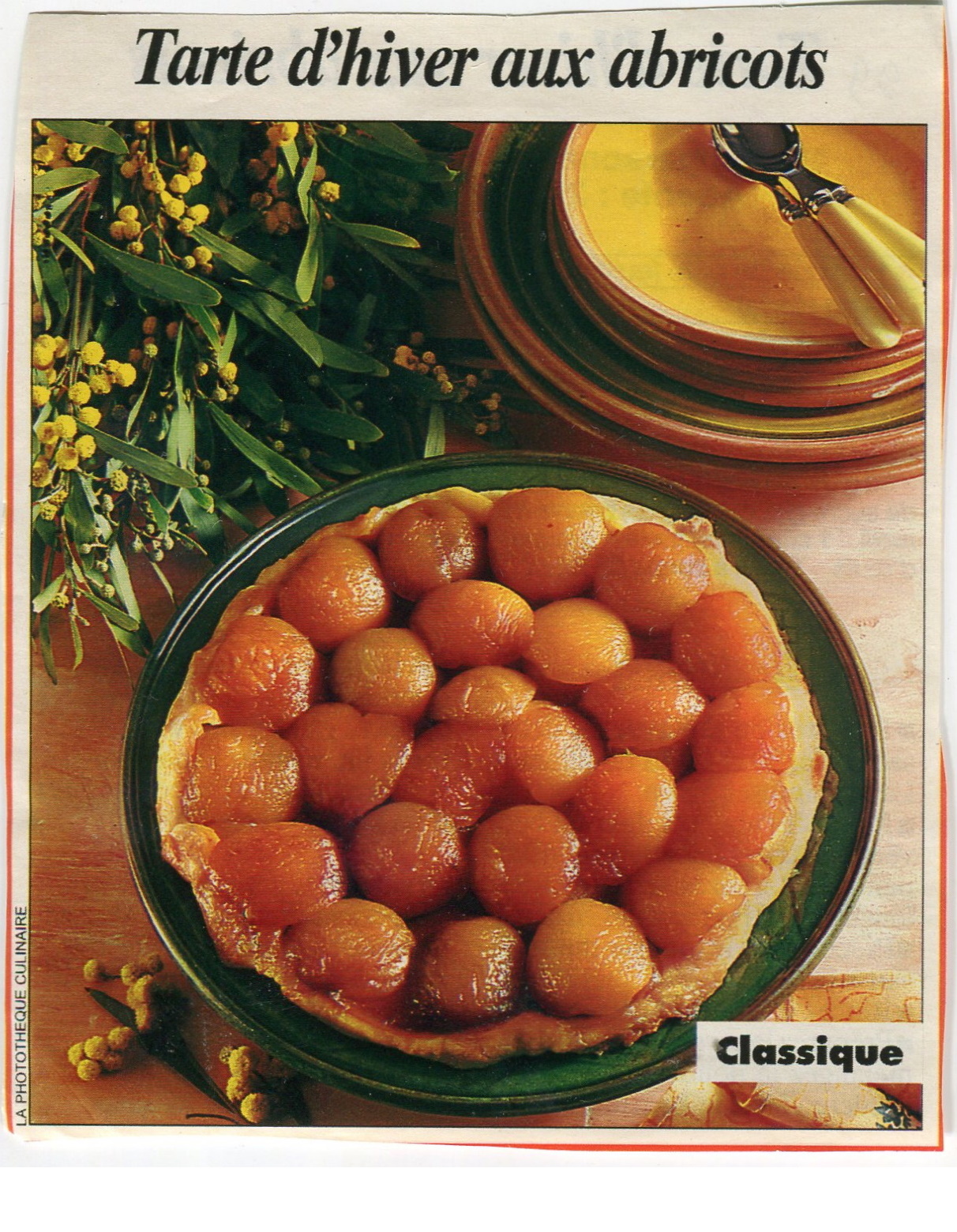 Manuscrit de Tarte D'Hiver Aux Abricots